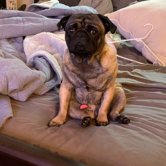 Meet your Posher, Ray - Picture 8 of 13